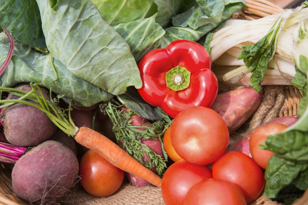 Basket of fresh organic veg on a sunny day Basket of fresh organic veg on a sunny day