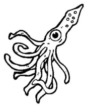 Squid-Icon-Logo