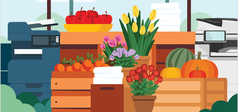 Plant the Seed of Productivityfeatured image