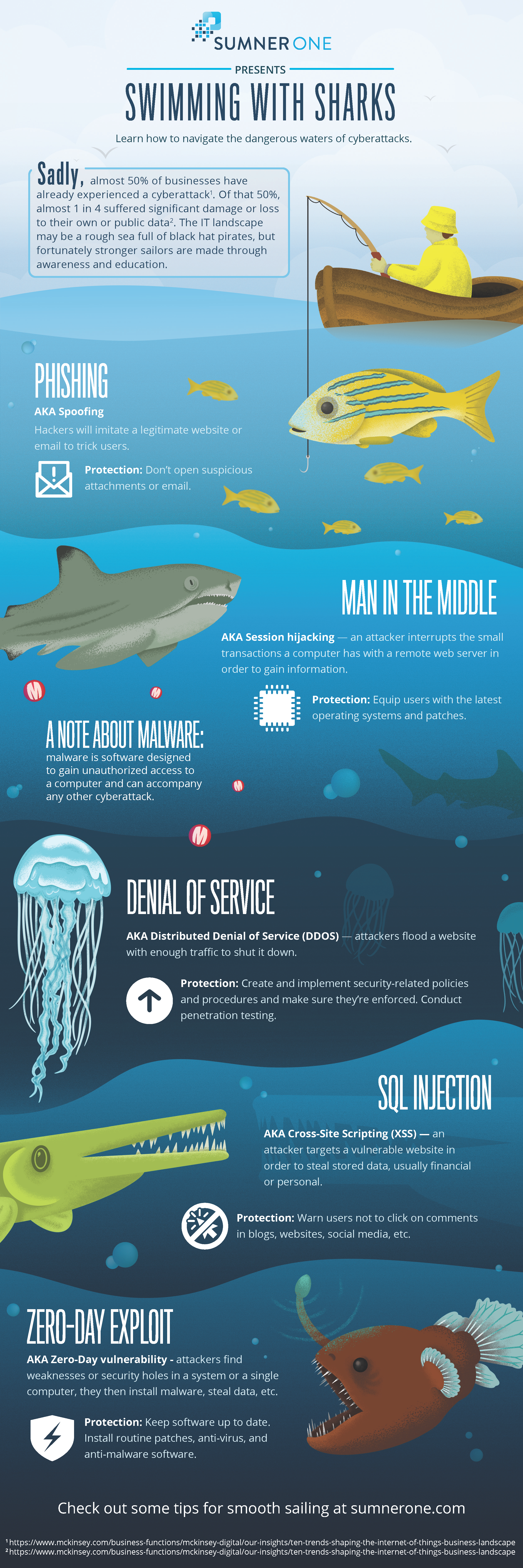Swimming-With-Sharks_SumnerOne-Infographic