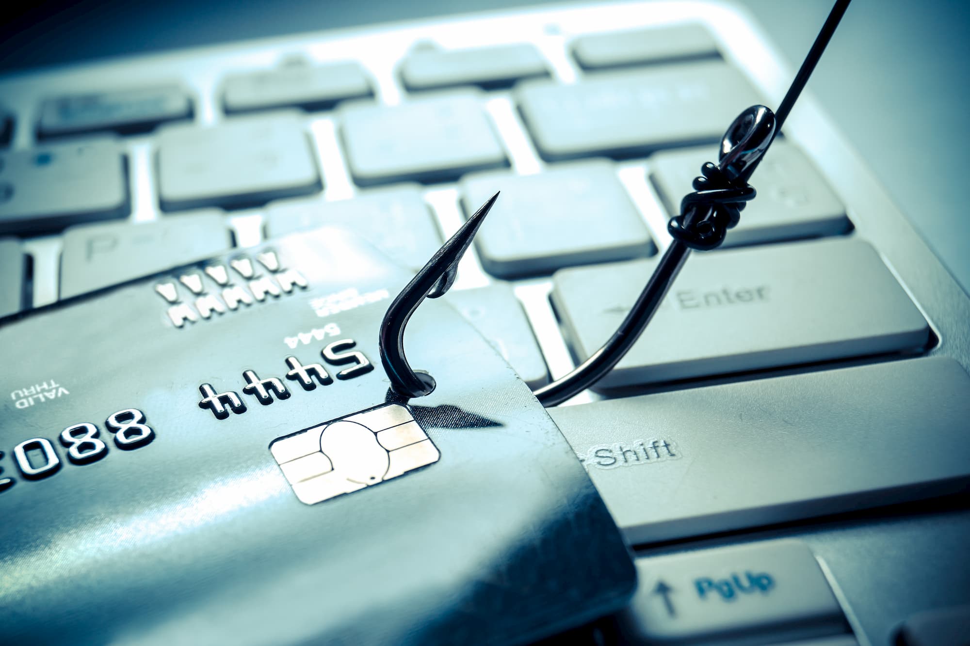 cyber-phishing