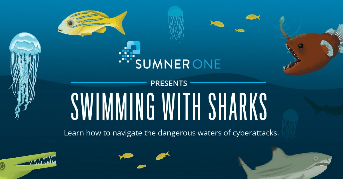 Swimming-with-Sharks-infographic-SumnerOne.jpg