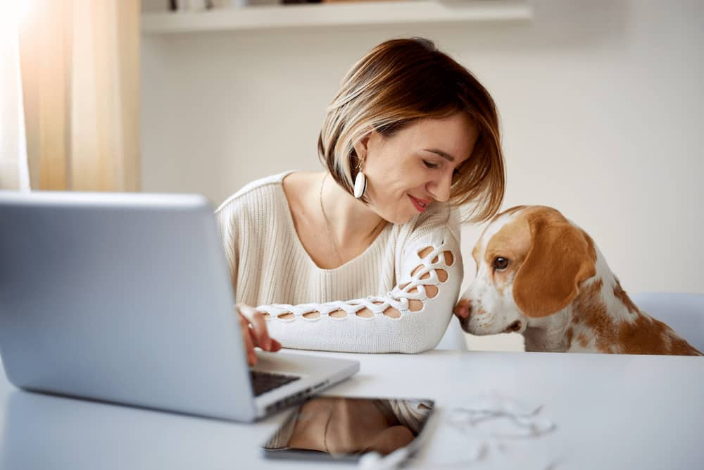 woman-working-from-with-her-dog